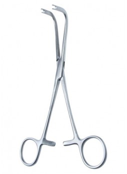 Bone Block Clamp
